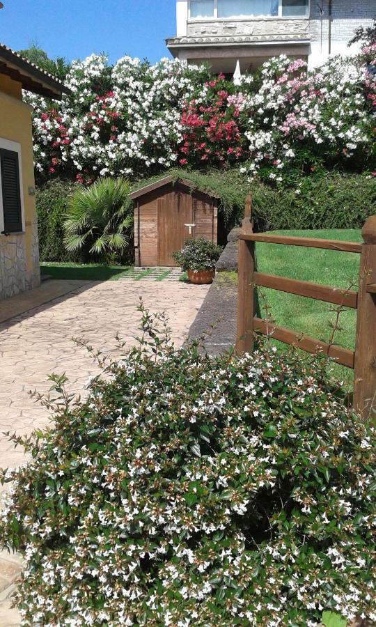 L'Infinito Bed and Breakfast Carbognano Buitenkant foto